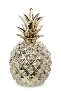 Ananas w114b/131505