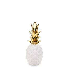 Ananas w119/136024