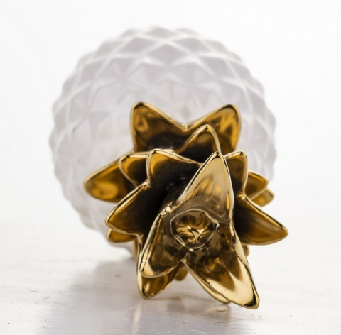 Ananas w119/136024 Ananas w119/136024