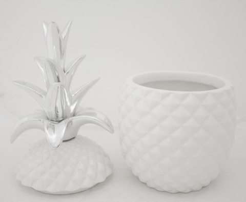 Pojemnik ananas w116a/102102 Pojemnik ananas w116a/102102