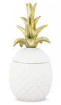 Pojemnik ananas w156a/119802