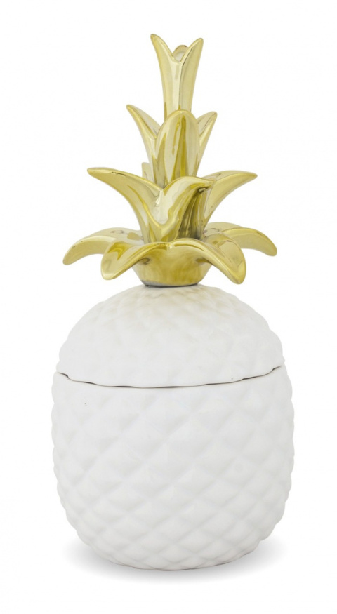 Pojemnik ananas w156b/119823 Pojemnik ananas w156b/119823