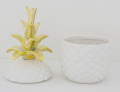 Pojemnik ananas w156b/119823