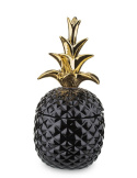 Pojemnik ananas w113b/135721