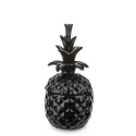Pojemnik ananas w117/135719