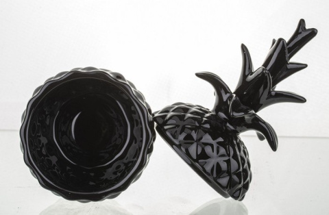 Pojemnik ananas w117/135719 Pojemnik ananas w117/135719