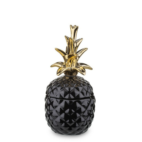 Pojemnik ananas w113c/135722 Pojemnik ananas w113c/135722