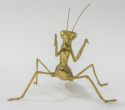 Figurka modliszka o182/114579