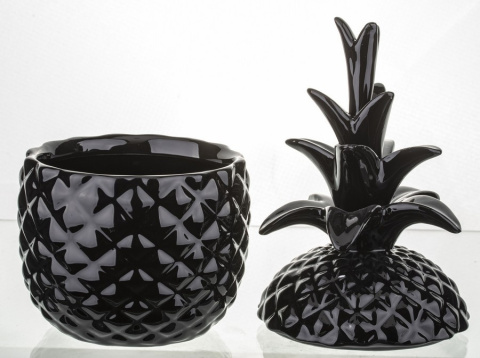 Pojemnik ananas w117b/135718 Pojemnik ananas w117b/135718