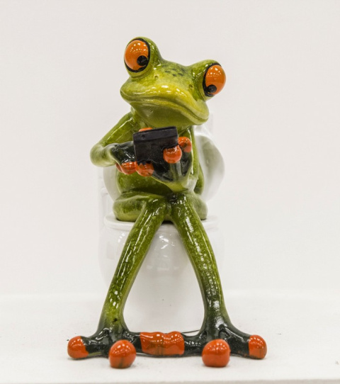 Figurka żaba T110C/118553 Figurka żaba T110C/118553