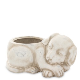 Osłonka kot w19B/170353