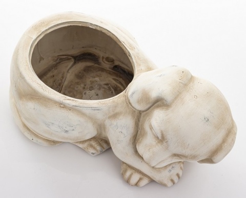 Osłonka kot w19B/170353