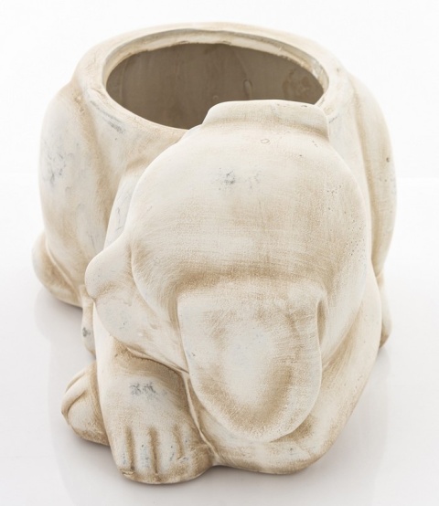 Osłonka kot w19B/170353